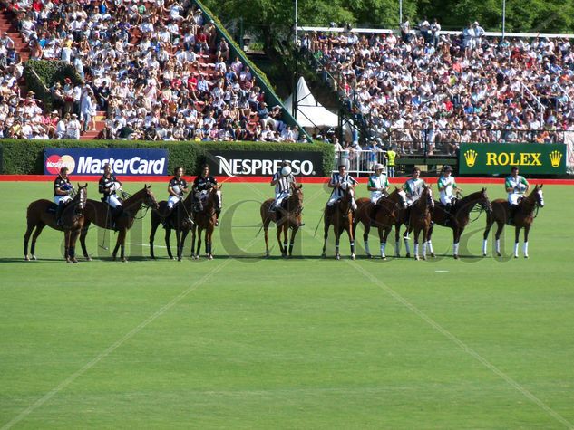 EL MEJOR POLO DEL MUNDO 2011 - 6 Deportiva Color (Digital)