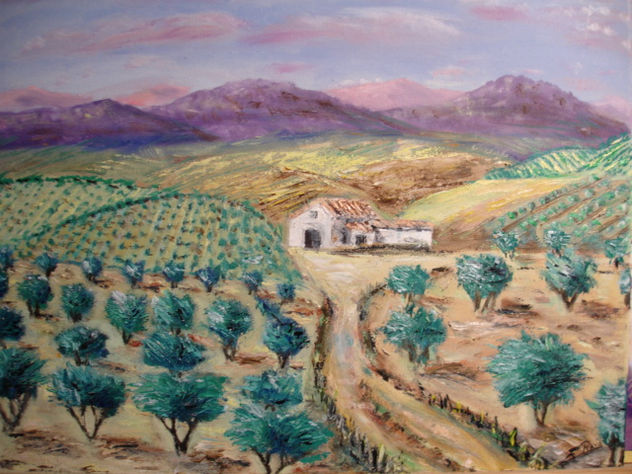 olivares nuevos