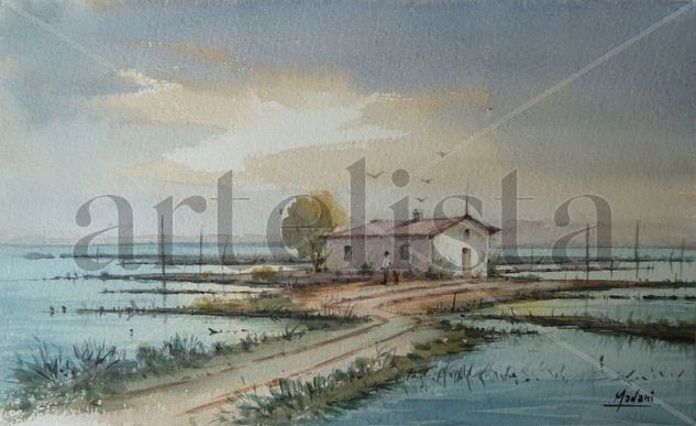 arrozales sueca valencia Watercolour Paper Landscaping