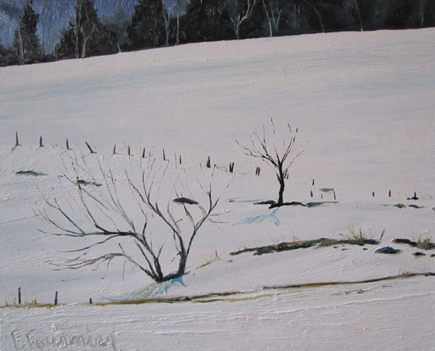 Across a Snowy Field, Quebec, Canada
