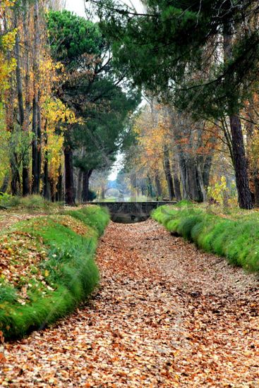 La acequia 