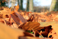 Otoño