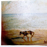 PARTICULAR thumbnail 1