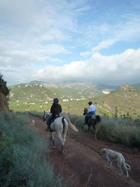Custodia perruna
