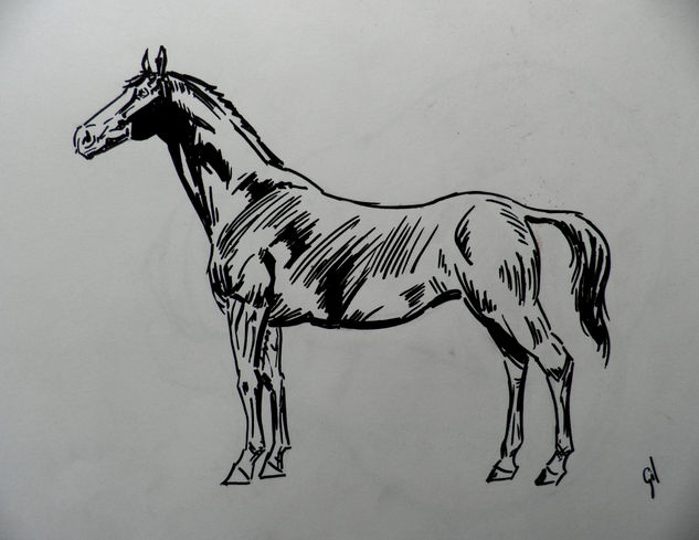 Estudio caballo Tinta