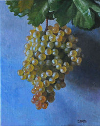 Racimo de uvas