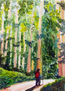 forêt d'Eucalyptus - Santiago de compostela