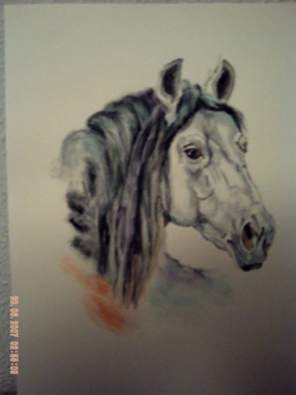 Caballo III
