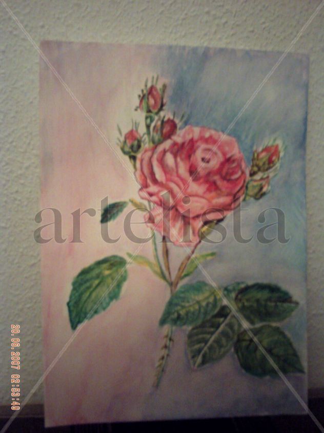 Rosa