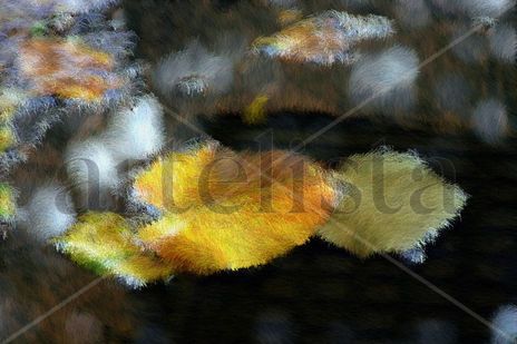 Otoño