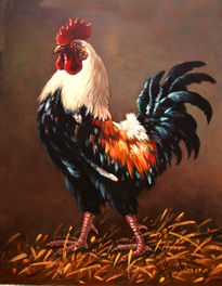 Rooster - the...