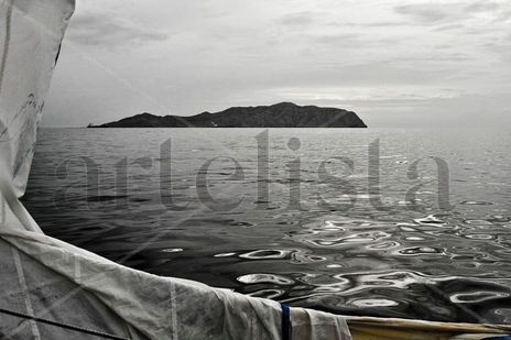 Mi Puerto