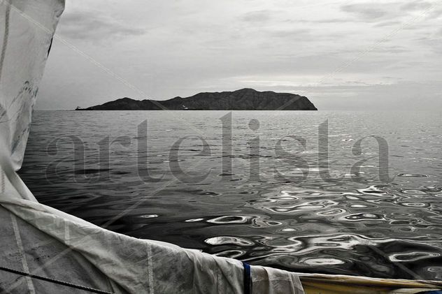 Mi Puerto