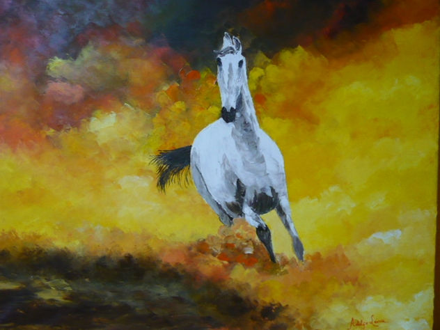 Caballo blanco galopando