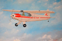 Piper  PA-18