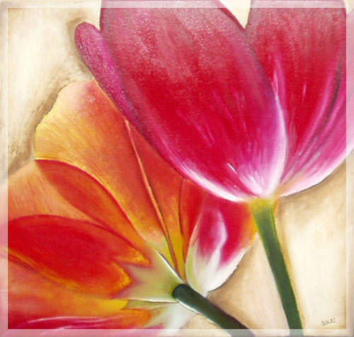 tulipanes 