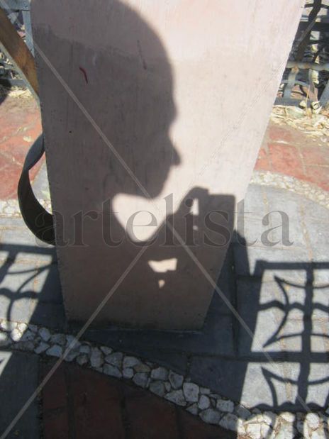 Auto-sombra 10