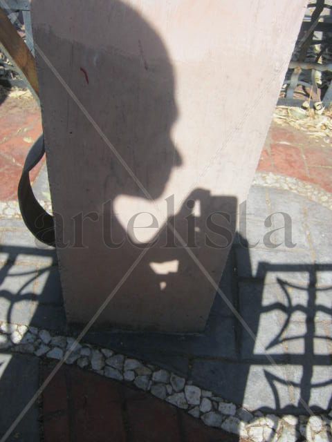 auto-sombra 10