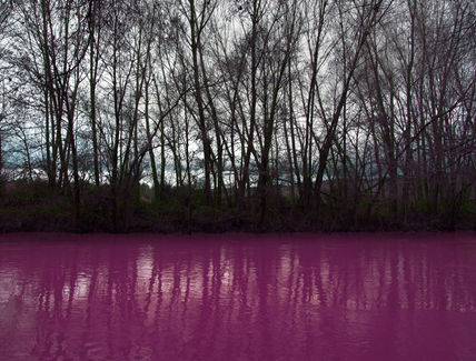 RIO VIOLETA...