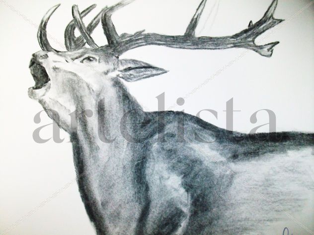 Venado