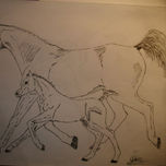 CABALLOS thumbnail 1