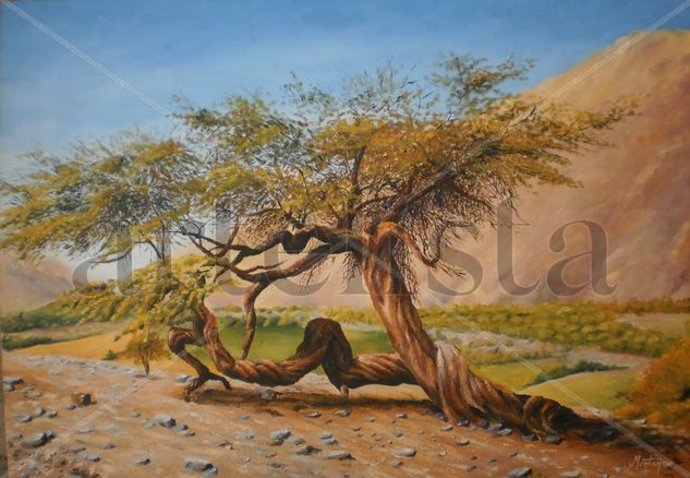 huarango Oil Canvas Landscaping