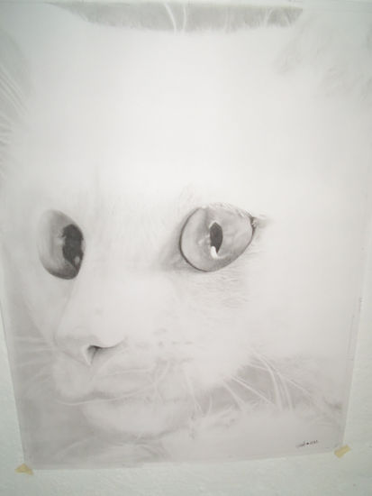 Cabeza de Gato Blanco Pencil