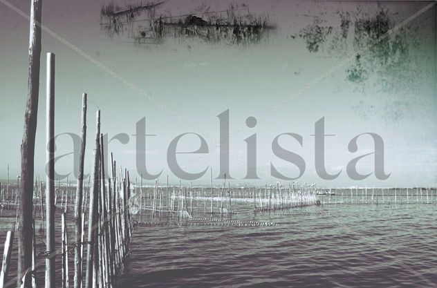Albufera
