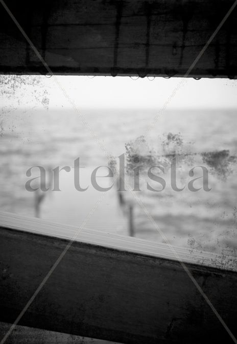 Albufera's dream
