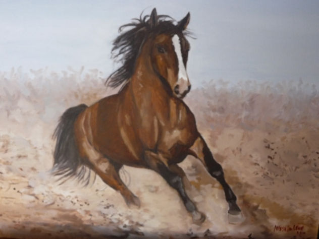 Polvareda - Óleo 40x50cms.