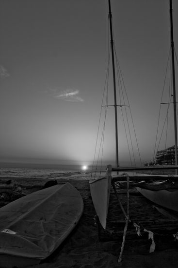 Catamaran Deportiva Blanco y Negro (Digital)