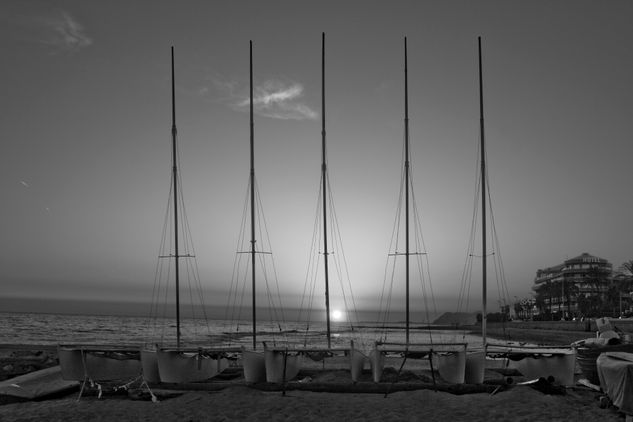 Catamaranes Naturaleza Blanco y Negro (Digital)