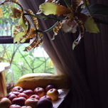 Jardín thumbnail 1