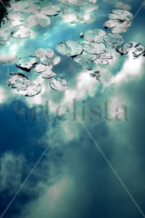 Agua