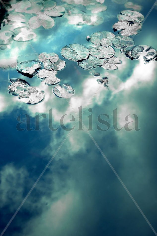 AGUA