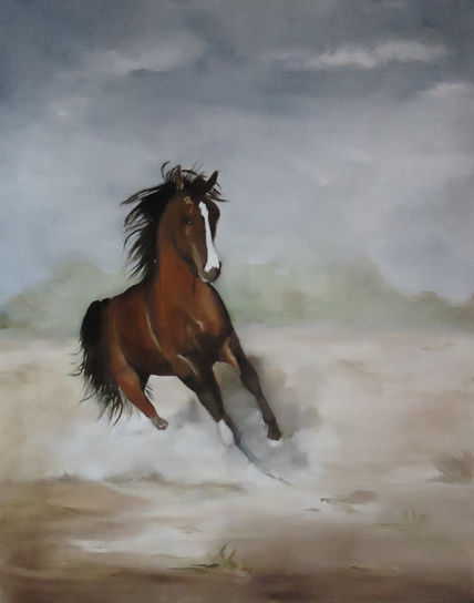 Furia salvaje