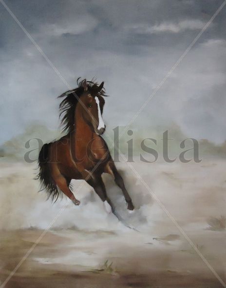 Furia salvaje