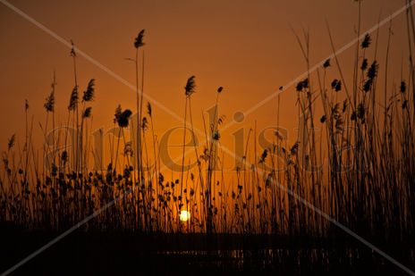 Naturaleza