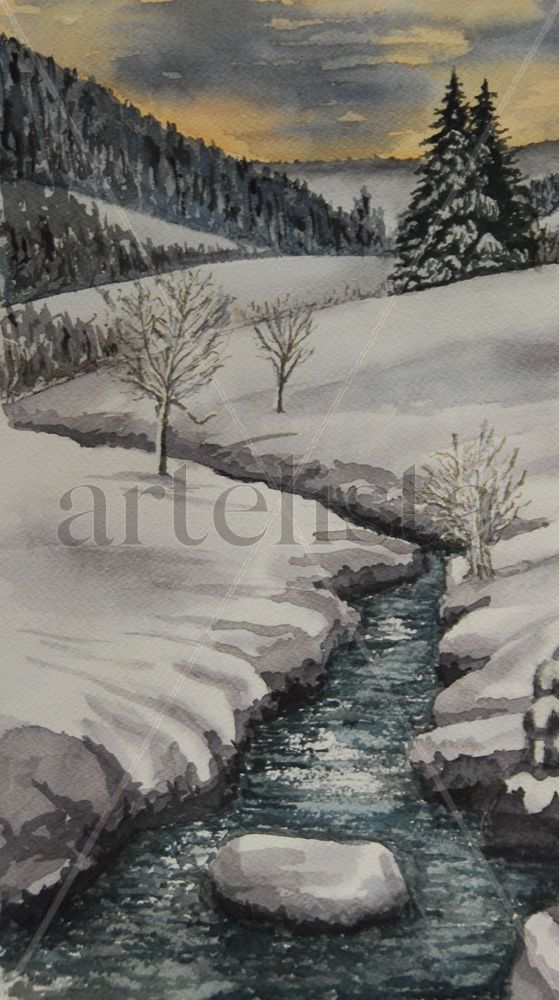 Comienzo Arroyo en la Nieve