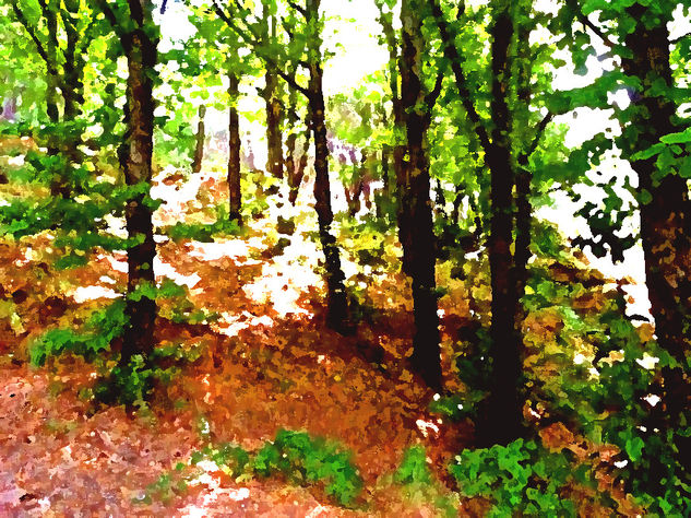 BOSQUE ENCANTADO Oil Canvas Landscaping