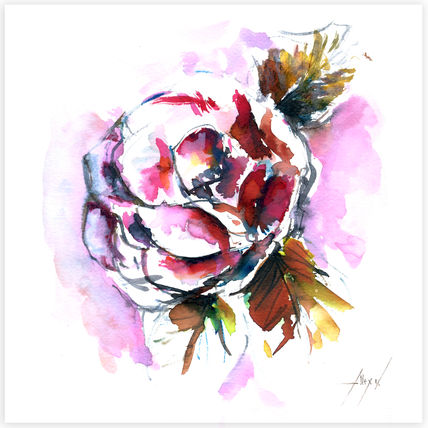 Camelia 03