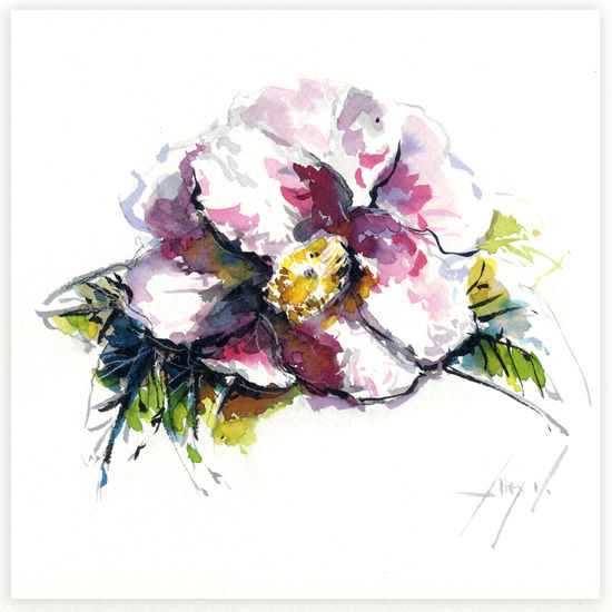 Camelia 19 Ink Card Floral Painting