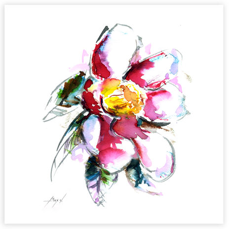 Camelia 21