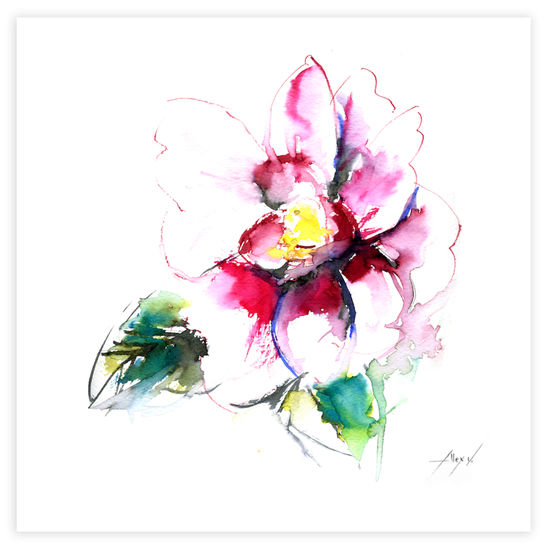 Camelia 23 Tinta Papel Floral