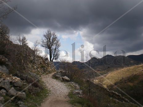 Camino