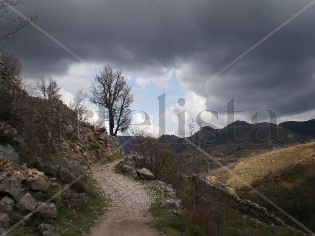 Camino Nature Color (Manual)