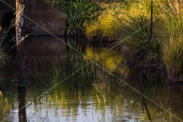 estanque reflejado
