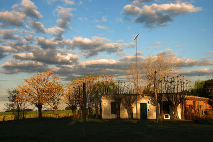 Paisaje Campero