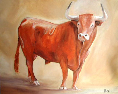 Toro colorao