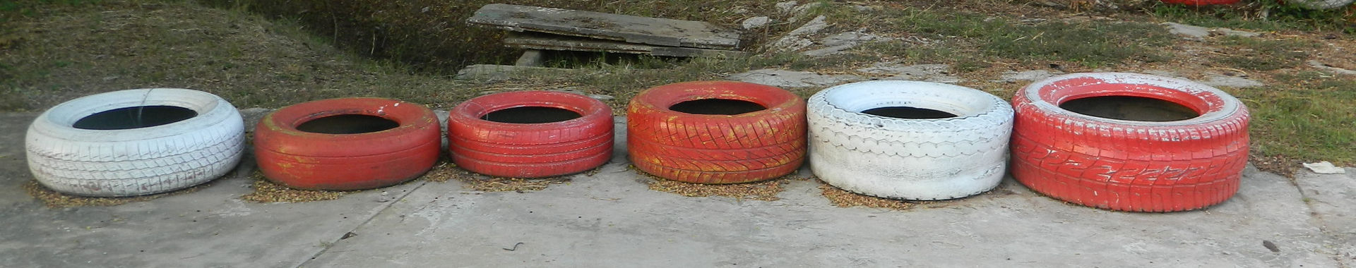Imagen de portada